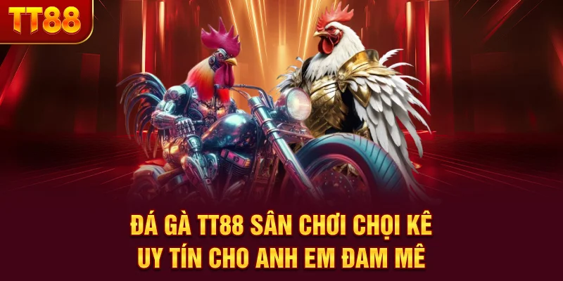 Đá Gà TT88 - Sân Chơi Chọi Kê Uy Tín Cho Anh Em Đam Mê